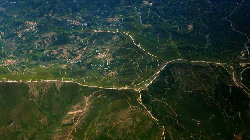 Alman Bahis ve Canlı Bahis Platformları